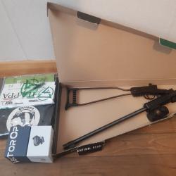 Chiappa Little Badger + point rouge