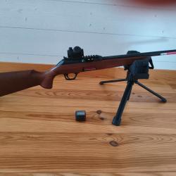 Winchester Wildcat 22lr Bois +chargeur neuf+point rouge