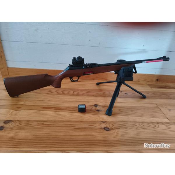 Winchester Wildcat 22lr Bois +chargeur neuf+point rouge