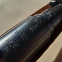 Carabine Steyr M95