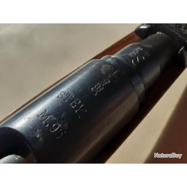 Carabine Steyr M95