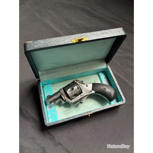 Revolver bulldog 320