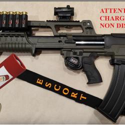 hatsan escort bullpup chargeur amovible
