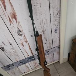 Vend Carabine CO2 Snowpeak Artemis CR600W Calibre 5,5