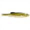 petites annonces chasse pêche : Enchère à 1 ! MEGABASS Mag draft 6 freestyle Bass CS