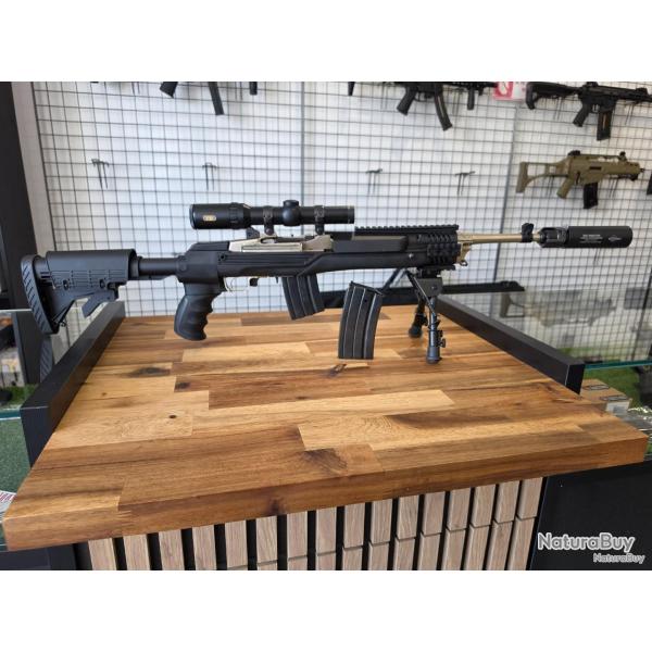 Ruger mini 14 Tactical