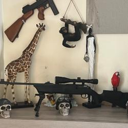 Pack Carabine CO2 H&auml;mmerli 850 AirMagnum - &Eacute;tat Neuf  (Jamais Tir&eacute;)