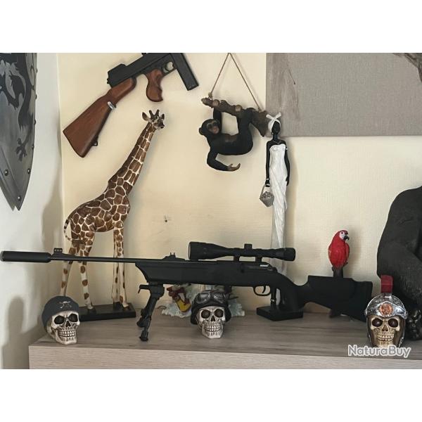 Pack Carabine CO2 H�mmerli 850 AirMagnum - �tat Neuf  (Jamais Tir�)
