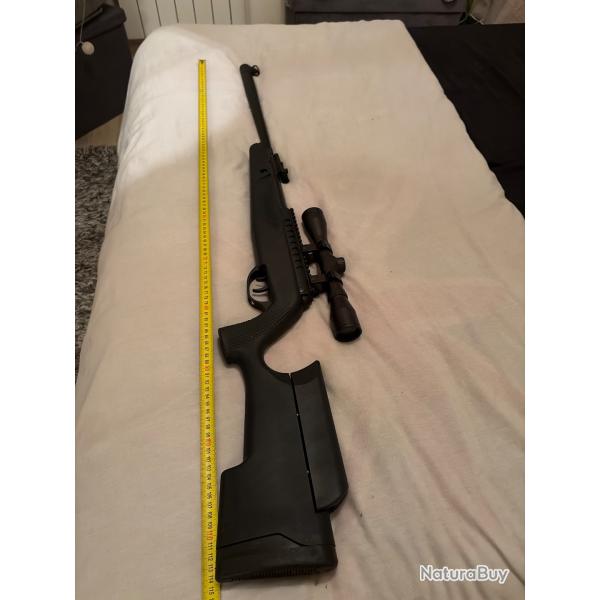 Carabine � plomb BO manufacture benning