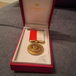 Medaille du devoir