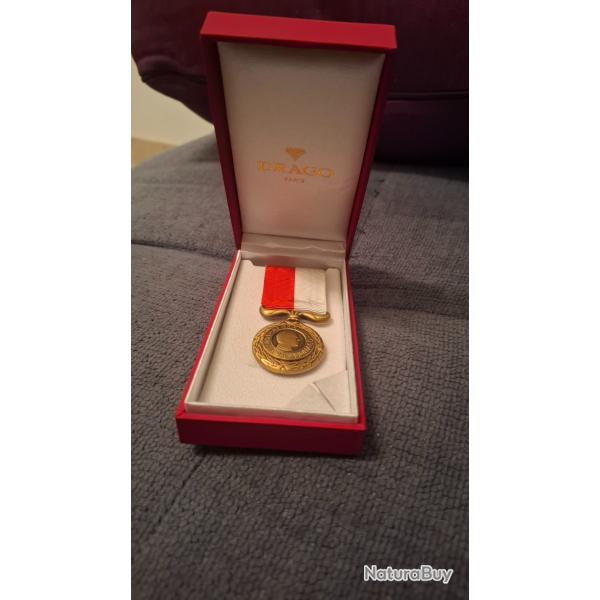 Medaille du devoir