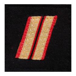 Grade de poitrine Ares Troupe de Marine Autre Sergent