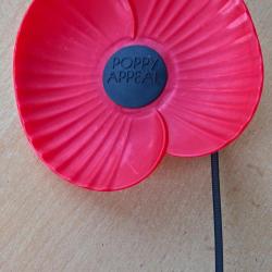 Coquelicot de voiture officiel Poppy Appeal de la Royal British Legion