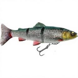 Ench&egrave;re &agrave; 1� ! Leurre souple SAVAGE GEAR 4D Line thru trout MS 25cm Green silver