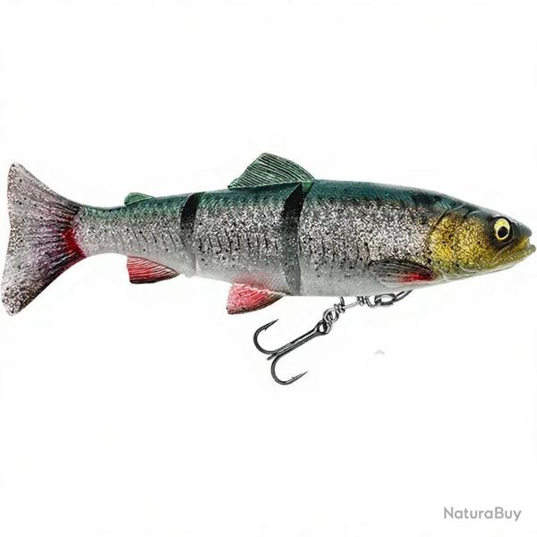 Ench�re � 1� ! Leurre souple SAVAGE GEAR 4D Line thru trout MS 25cm Green silver