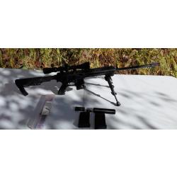 Cat C Pallas BA15 22lr