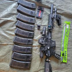 Tiberius T15 + Custom AR15