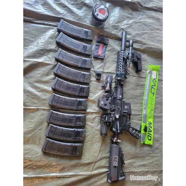 Tiberius T15 + Custom AR15