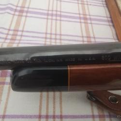 Carabine 300win Remington