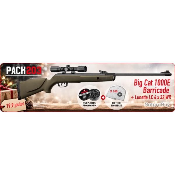 Pack GAMO  Carabine Big Cat Barricade + Lunette 4x32 LC + 100 cibles + 250 plombs Gamo