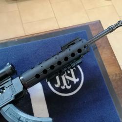 Carabine ruger sr-22, calibre 22 lr