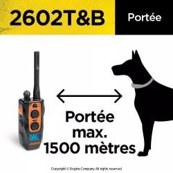 Collier de dressage dogtra 2602  T&B Carhaix