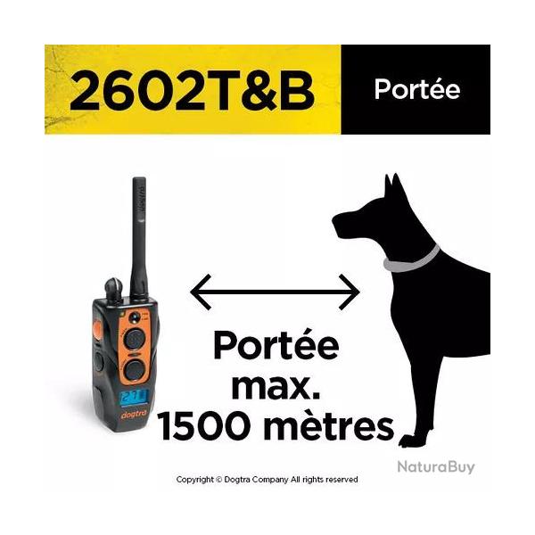 Collier de dressage dogtra 2602  T&amp;B Carhaix