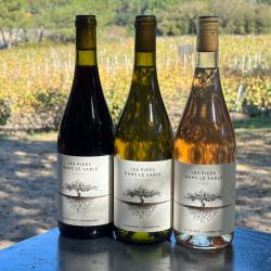 Les Pieds dans le Sable - Trio d&eacute;couverte : Blanc, Ros&eacute;, Rouge (3x0,75cl) - Domaine de La Pointe