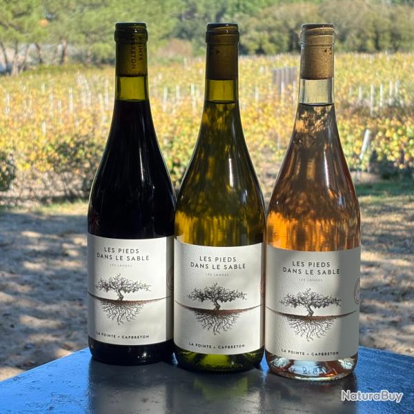 Les Pieds dans le Sable - Trio d�couverte : Blanc, Ros�, Rouge (3x0,75cl) - Domaine de La Pointe