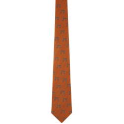 Cravate de chasse Ashford li&egrave;vres - Burnt orange - Schoffel - Orange / Taille unique