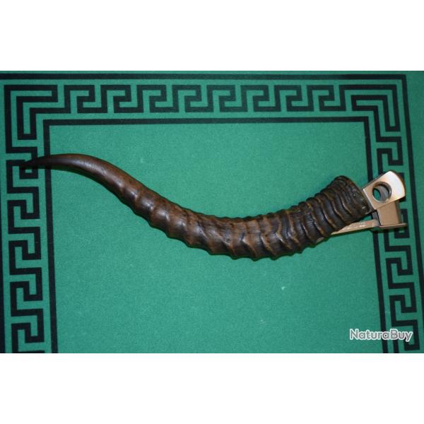 Coupe Cigare Antilope