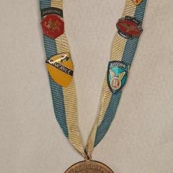 M&eacute;daille et insigne US 3&egrave;me Marne Division 60/70 v&eacute;t&eacute;ran Viet Nam 60/70