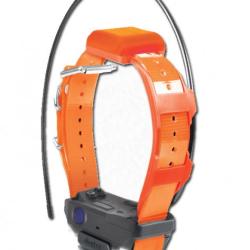 Collier suppl&eacute;mentaire Pathfinder 2 TRX Dogtra ORANGE