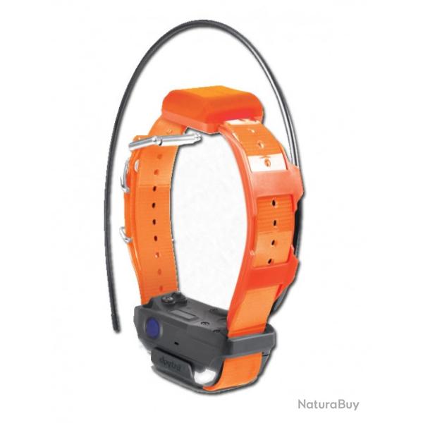 Collier suppl�mentaire Pathfinder 2 TRX Dogtra ORANGE