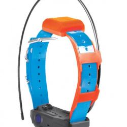 Collier suppl&eacute;mentaire Pathfinder 2 TRX Dogtra BLEU