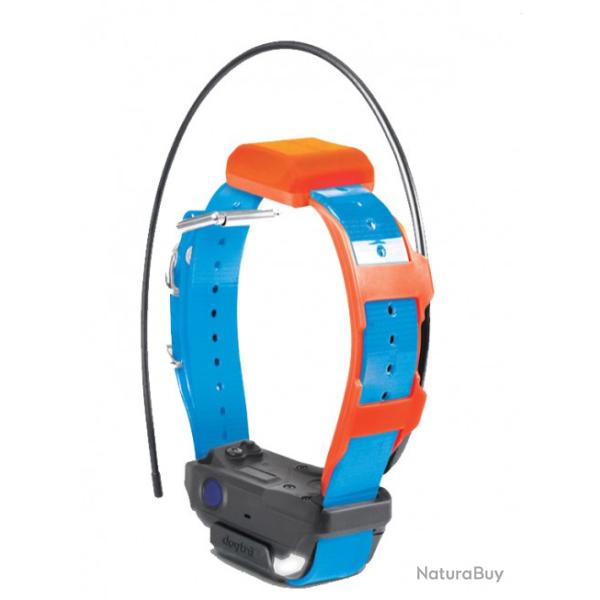 Collier suppl�mentaire Pathfinder 2 TRX Dogtra BLEU