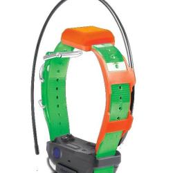 Collier Suppl&eacute;mentaire Dogtra Pathfinder 2 Trx VERT