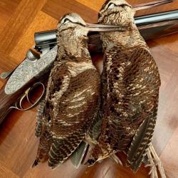 Alsace action Chasse La petite pierre