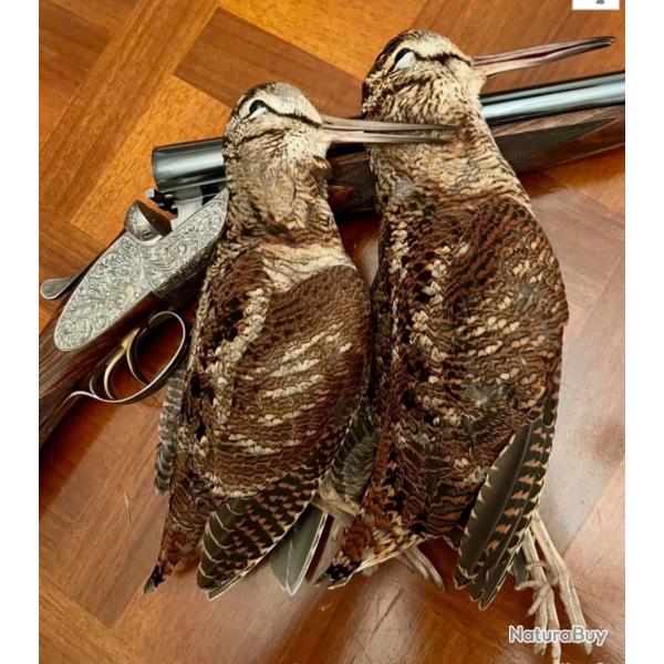 Alsace action Chasse La petite pierre