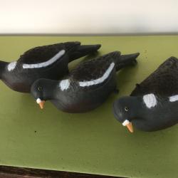 VENDU PAR LE-CUIRASSIER LOT DE 3 FORMES PIGEON RAMIER