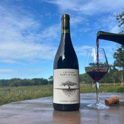 Rouge - Les Pieds dans le Sable (6x0,75cl) - Domaine de La Pointe, Capbreton