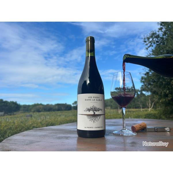 Rouge - Les Pieds dans le Sable (6x0,75cl) - Domaine de La Pointe, Capbreton