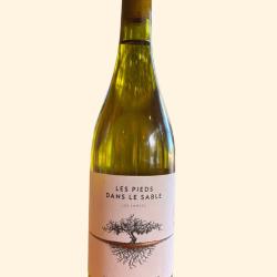 Blanc - Les Pieds dans le Sable - (6x0,75cl) - Domaine de La Pointe, Capbreton
