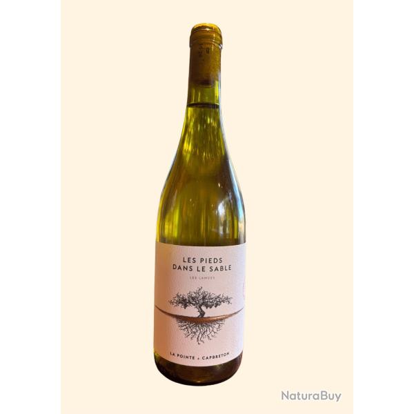 Blanc - Les Pieds dans le Sable - (6x0,75cl) - Domaine de La Pointe, Capbreton