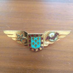 Insignes aviation, groupe tourraine indochine